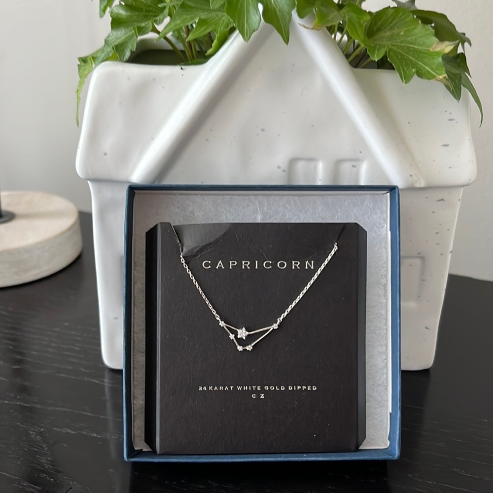Zodiac Necklace